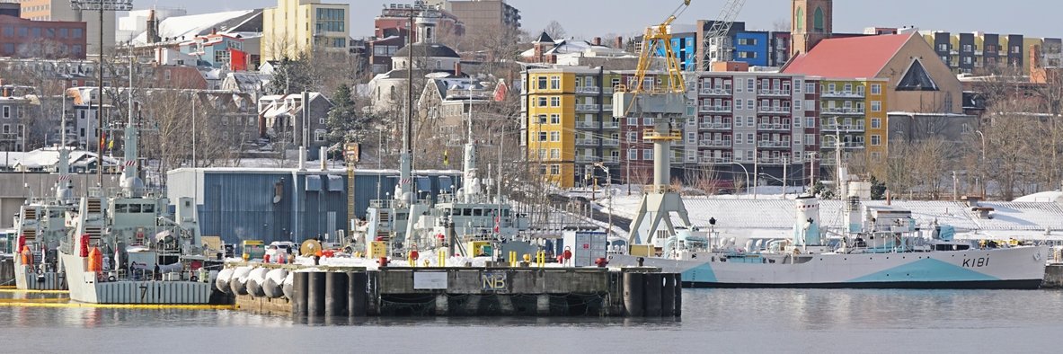 Roger Litwiller -🇨🇦 Naval Author/Historian's banner