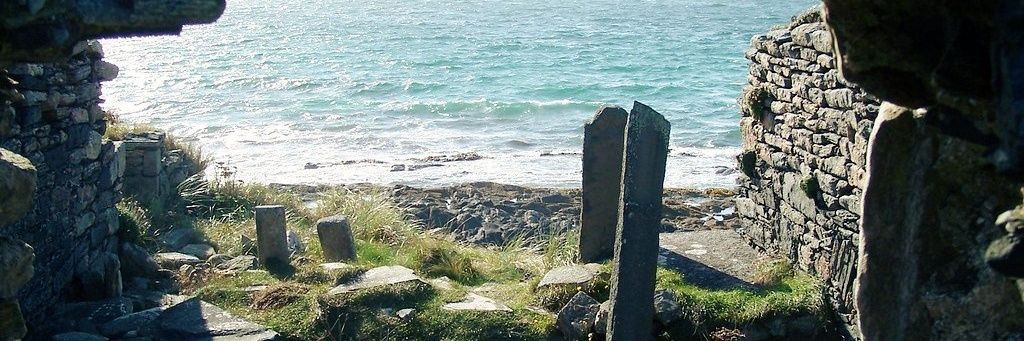 🌲 Mac Finn 🌲 banner