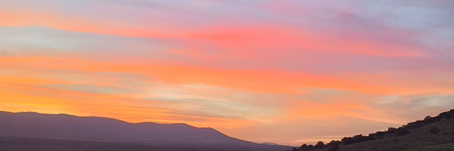 sanchezarias98's profile banner image