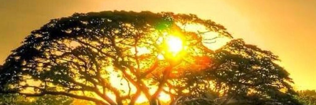wikam08's profile banner image