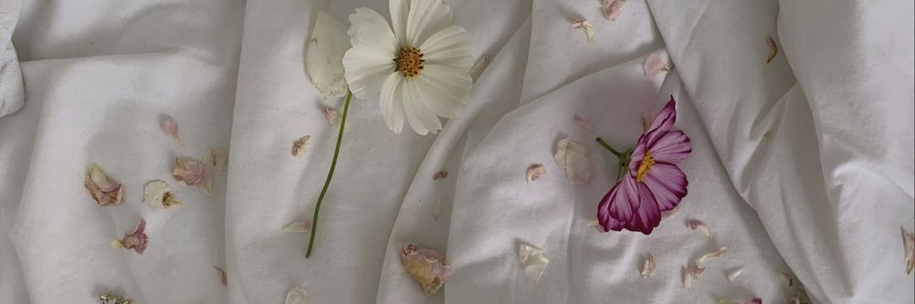 plm_lmb's profile banner image