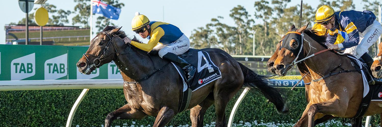 Cunningham Thoroughbreds banner