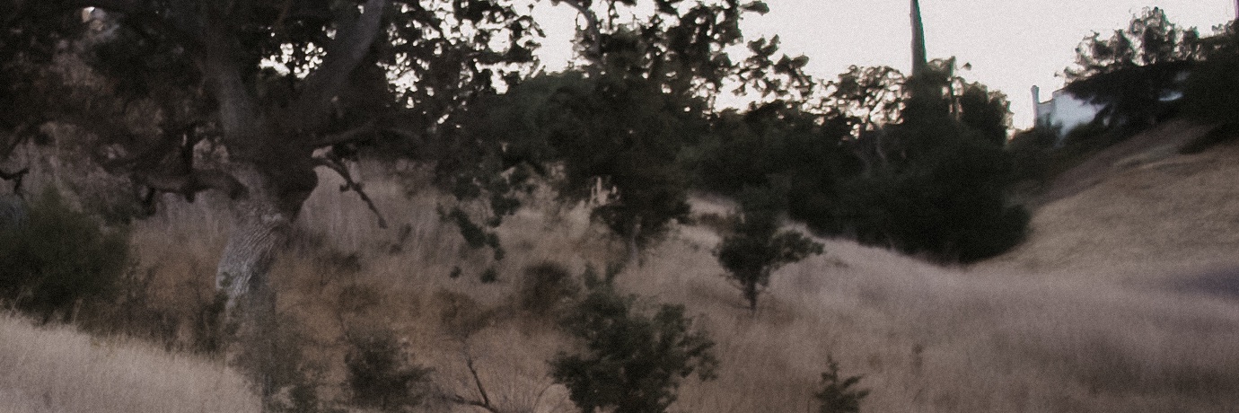 DaryaSea's profile banner image