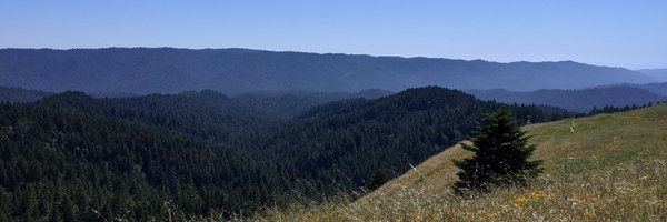 jordanwhited Profile Banner