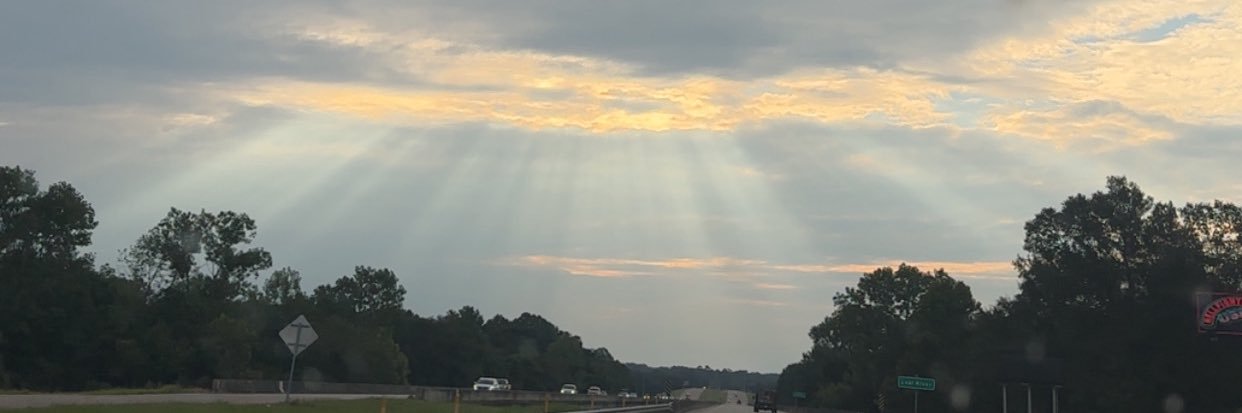 cammienmoree's profile banner image