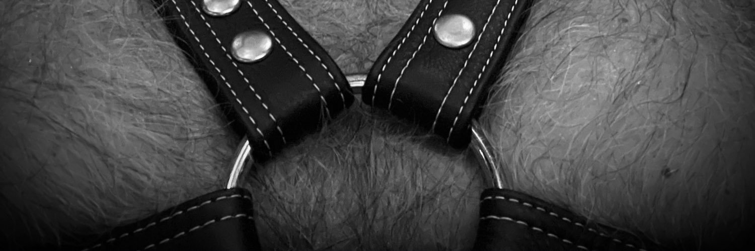 ConjureBear's profile banner image
