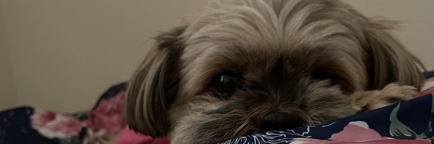 HgKy818's profile banner image
