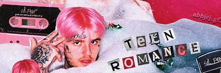 wildandwikid's profile banner image