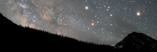 사화. banner