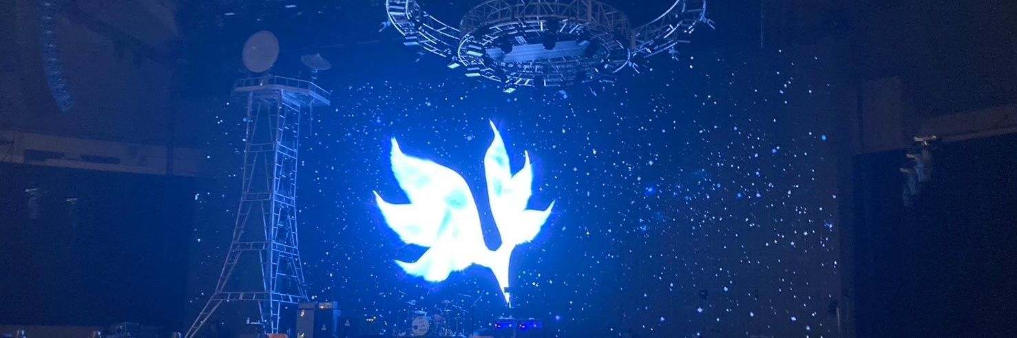 lunefish's profile banner image