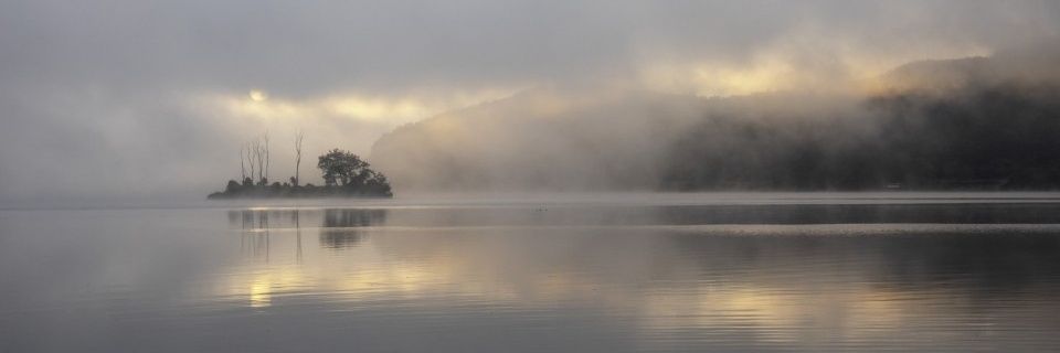 Psygoon's profile banner image