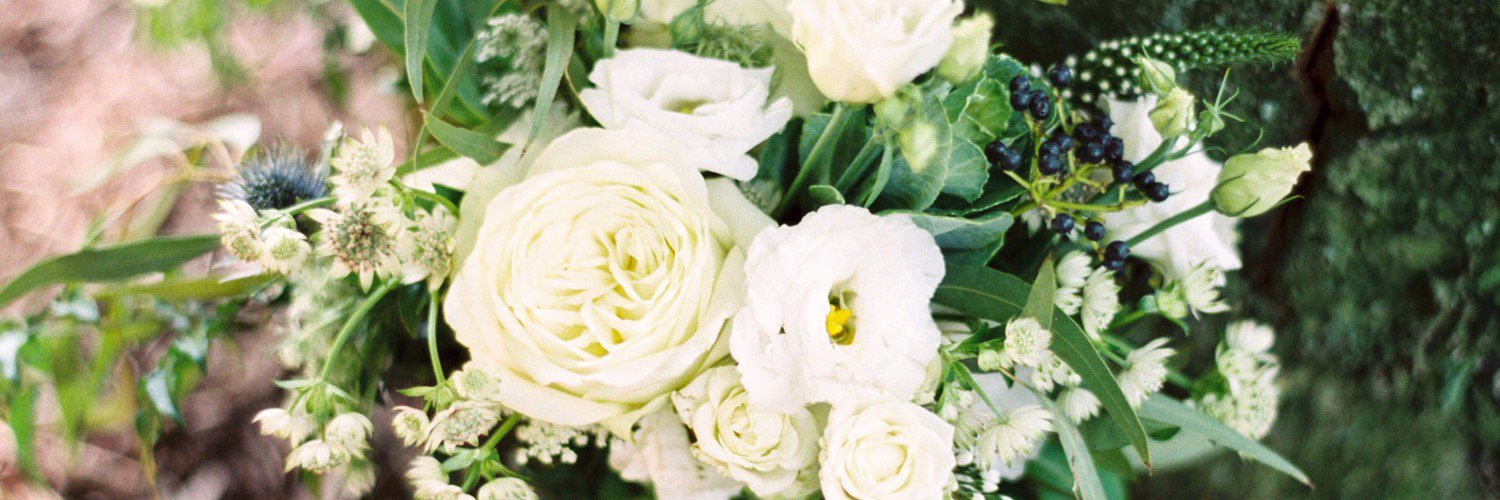 LadybugFlorist_'s profile banner image