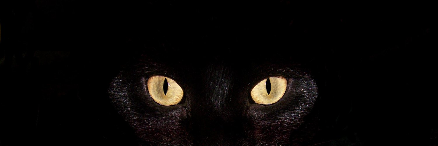 andermichalski's profile banner image
