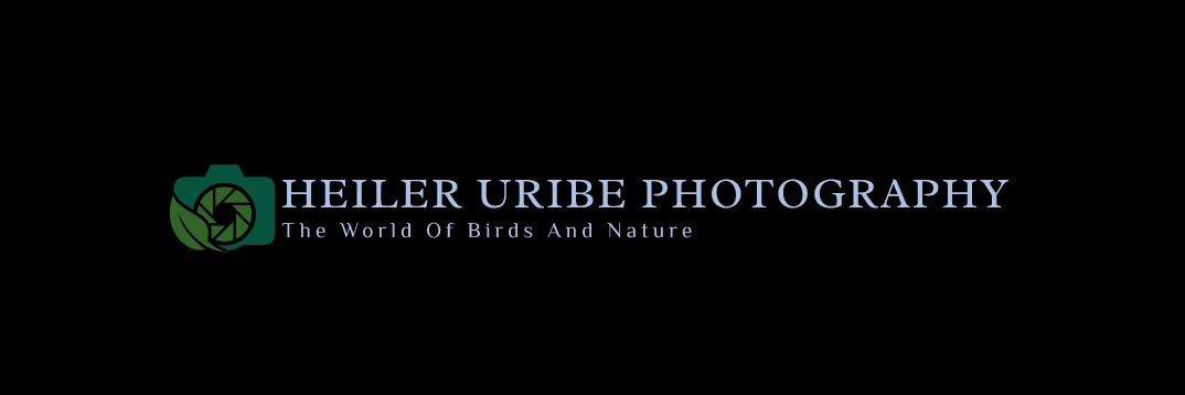 Heiler Uribe Nature Photography banner