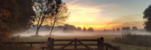 Alberto41767748 Profile Banner