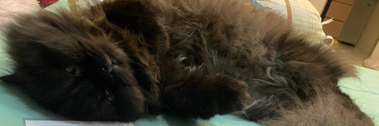 借我一隻吹風機-茄子🍆還是屍體人😍 banner