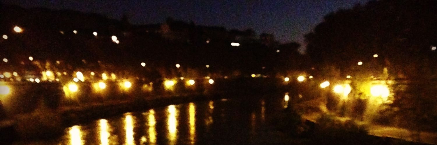 Dhanum K. Nursigadoo banner