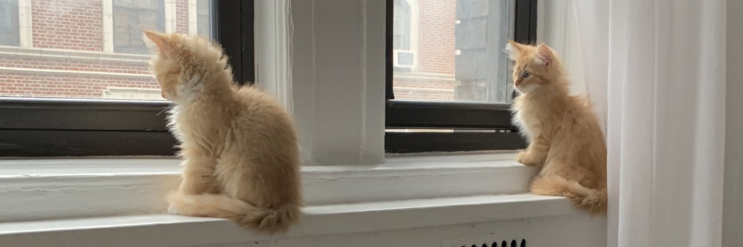 nyckittens's profile banner image