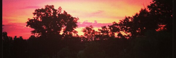 dawnsnarks Profile Banner