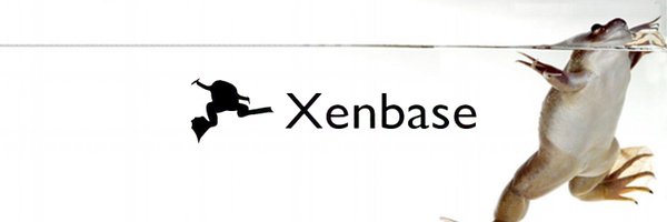 Xenbase Profile Banner