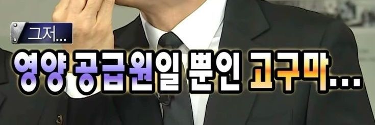 설탕감자 banner