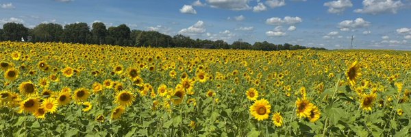 KriHeff Profile Banner