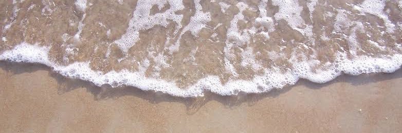 zo banner