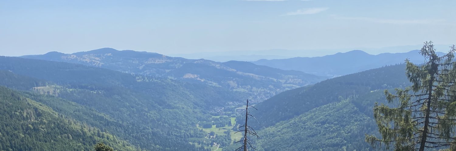 braz_hug's profile banner image