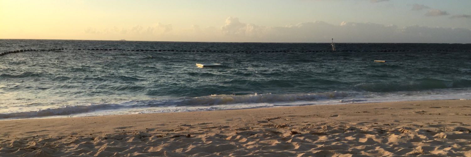 poke_perc's profile banner image