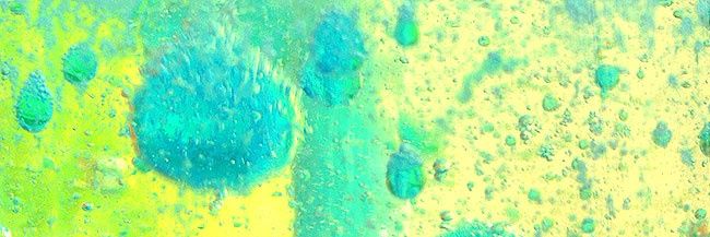 livesay95's profile banner image