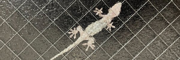 zerikamaru_ Profile Banner