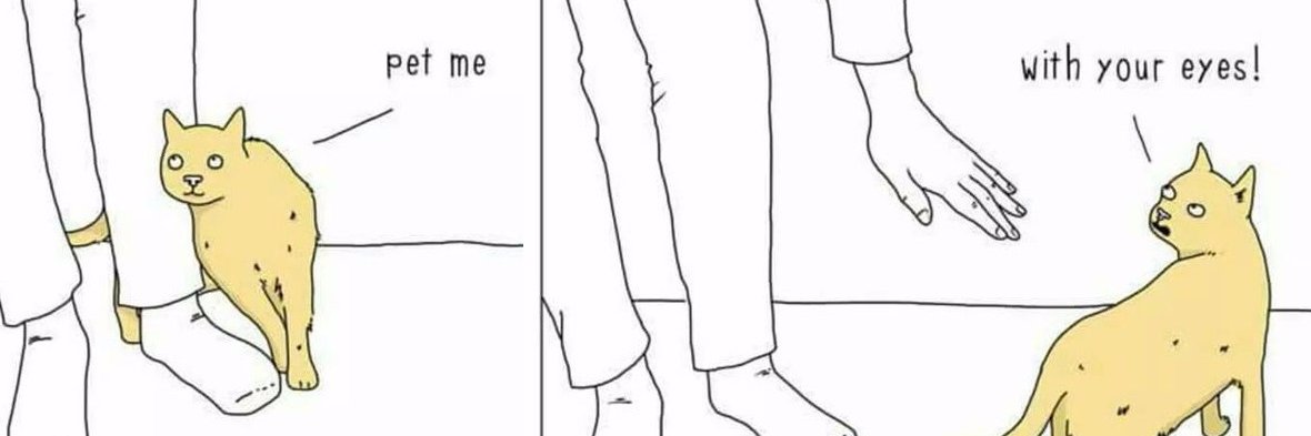 Rosemary Sekora banner