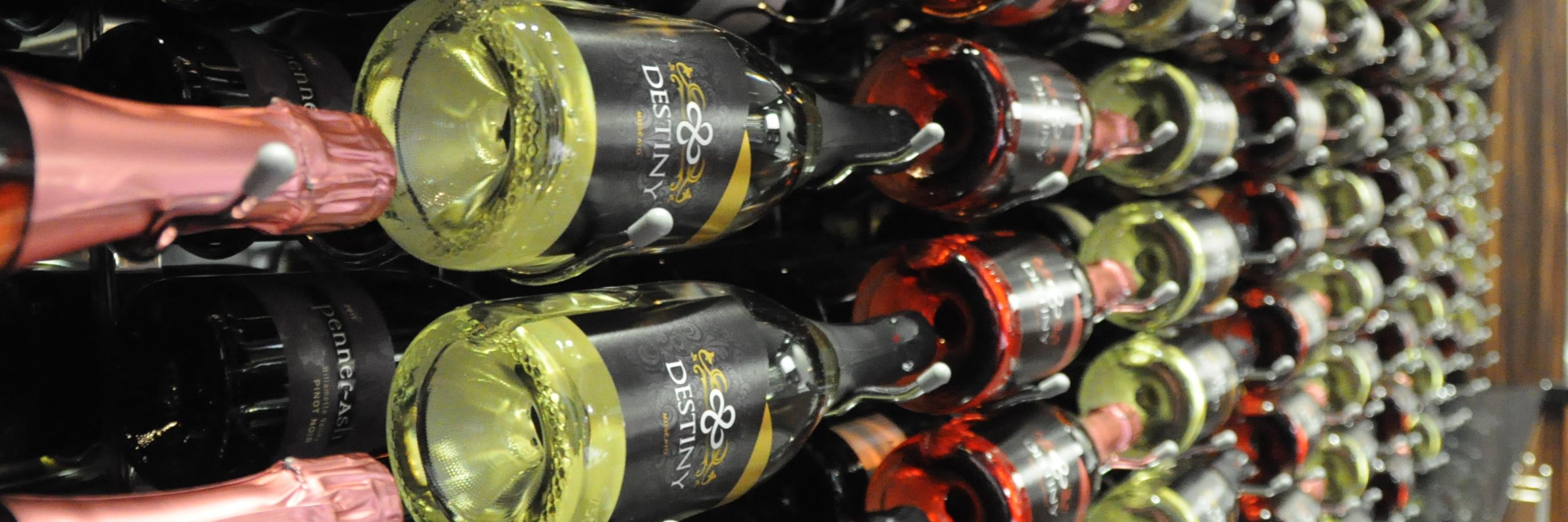 destinymoscato's profile banner image