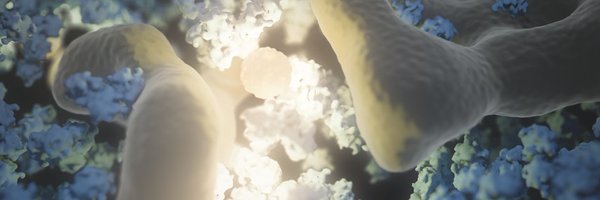 LiamHoltLab Profile Banner