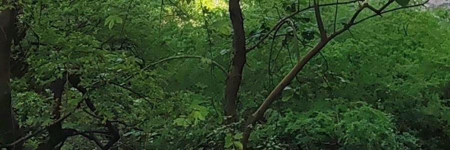 nbbj98765's profile banner image