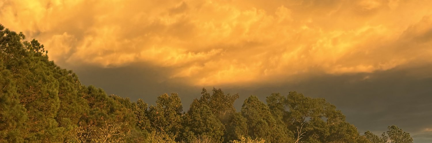 𝙅𝙖𝙯𝙯 ✟🚦|| #1 bdubs glazer banner