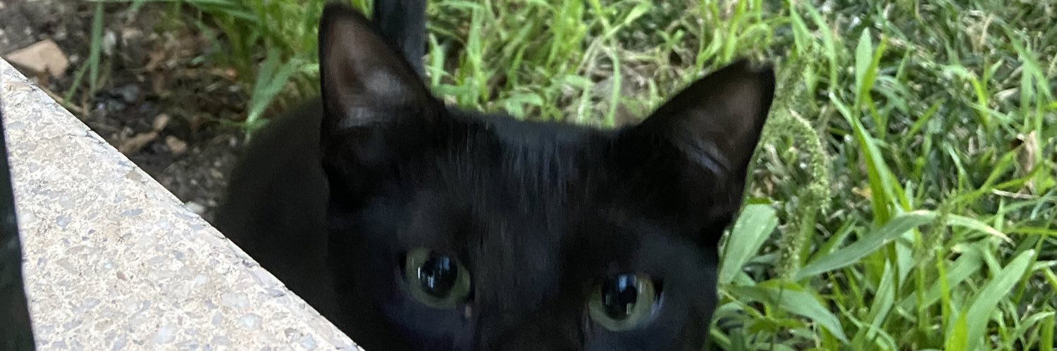 venenoo23's profile banner image