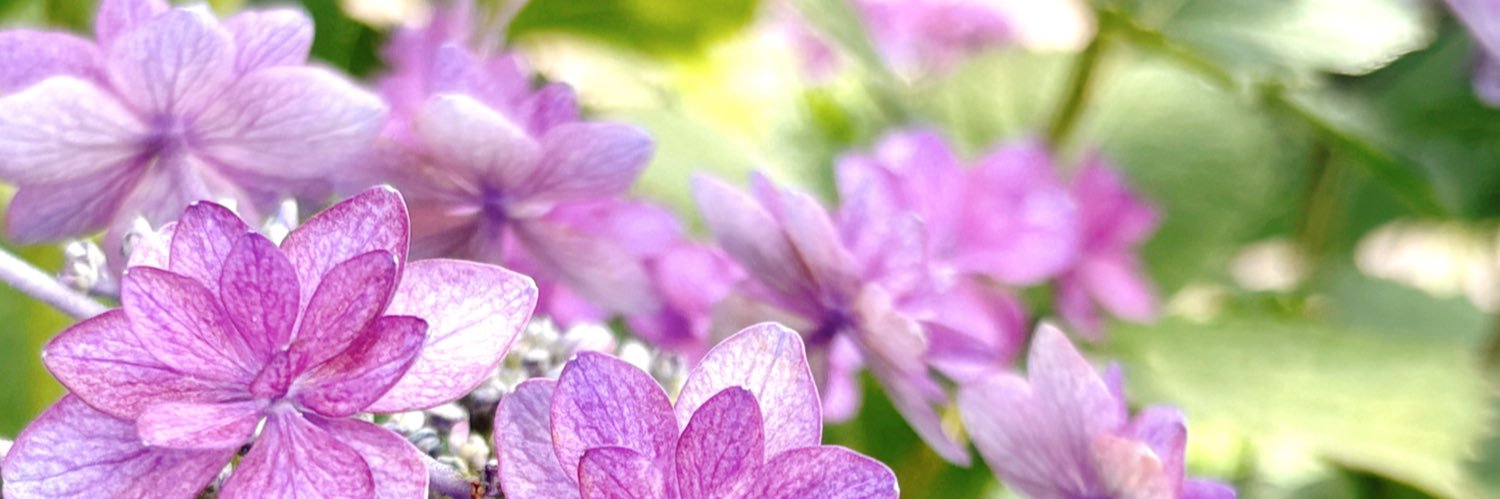 こたま's banner