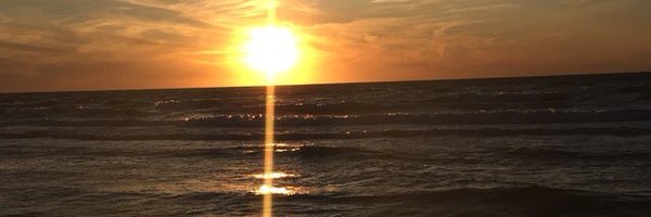 _morgan_bruce Profile Banner