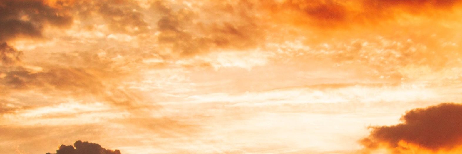 antonnette_chan's profile banner image