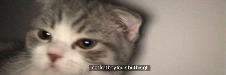 ‹𝟥 banner