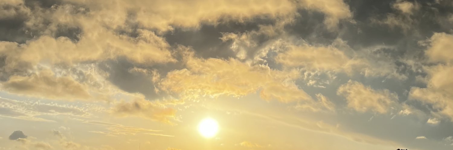 Carolis banner