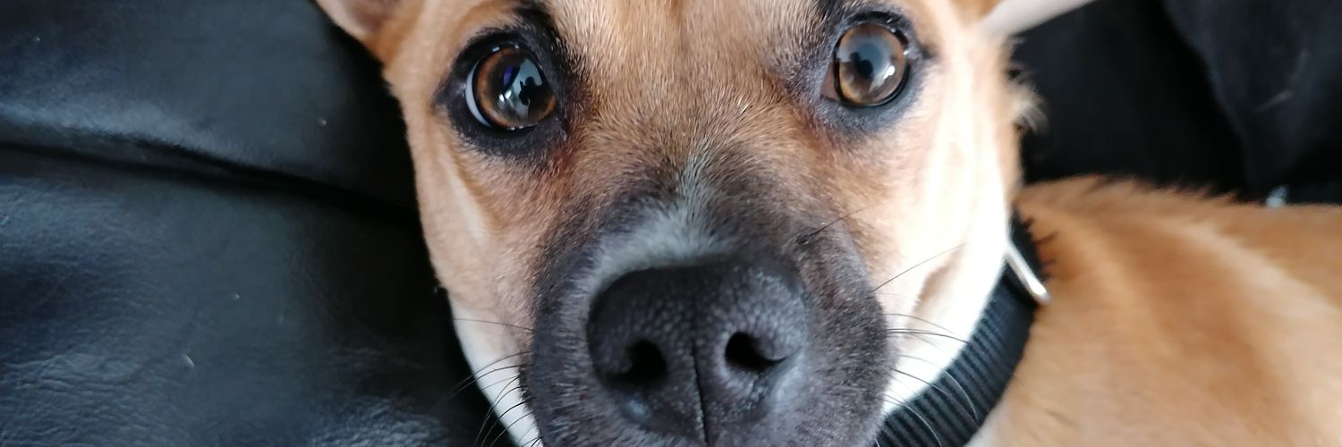 MartensImke's profile banner image