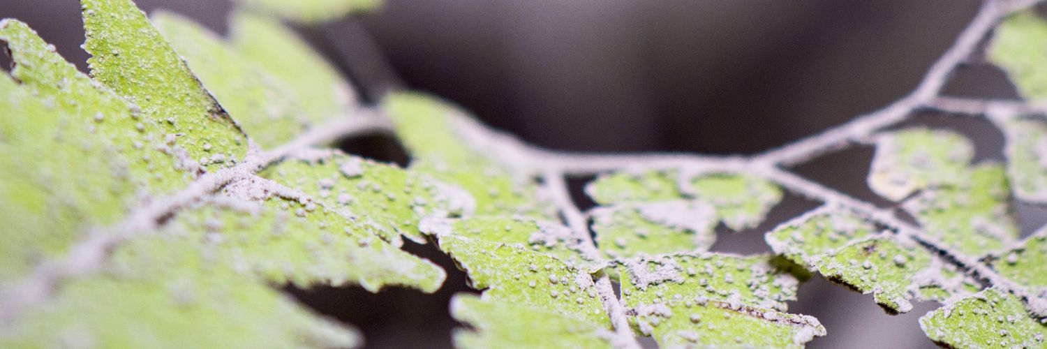 _GardenGirls_'s profile banner image