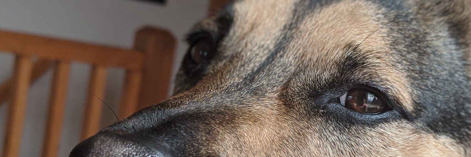 MarkRouzan's profile banner image