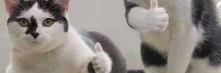 Lee banner