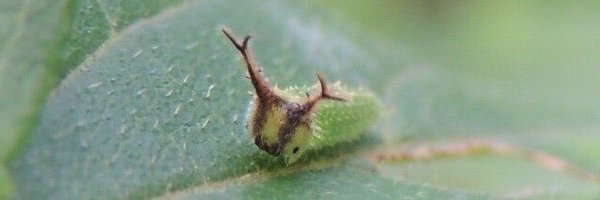 undroun Profile Banner