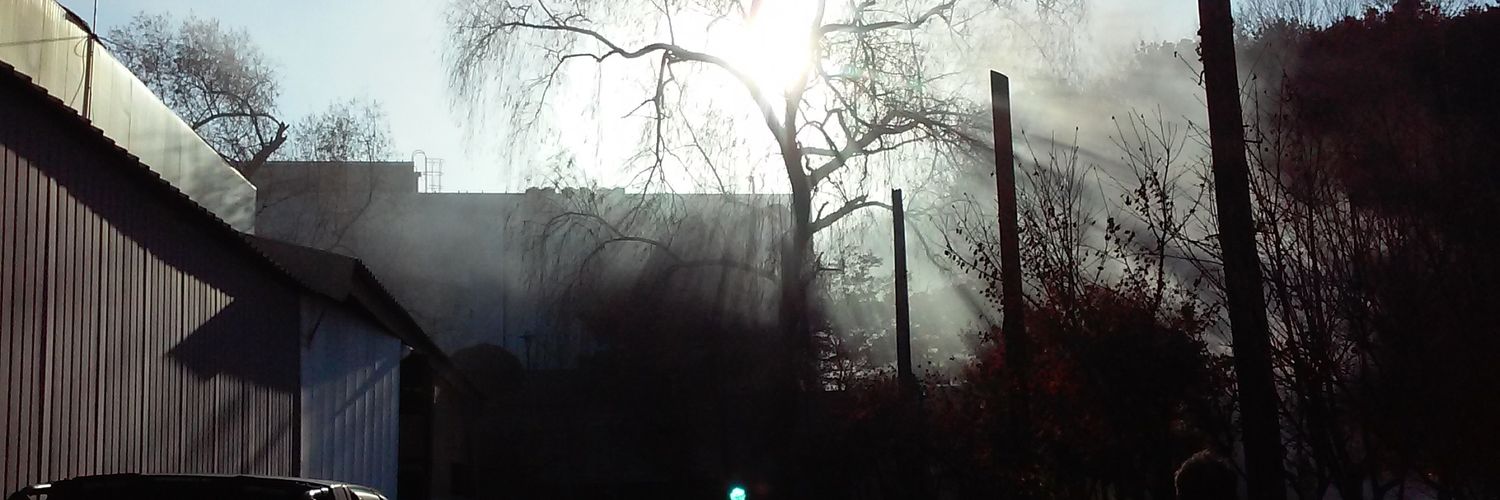 Lee, Seung-Hyun banner