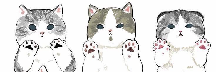 Ayesh ✨ banner