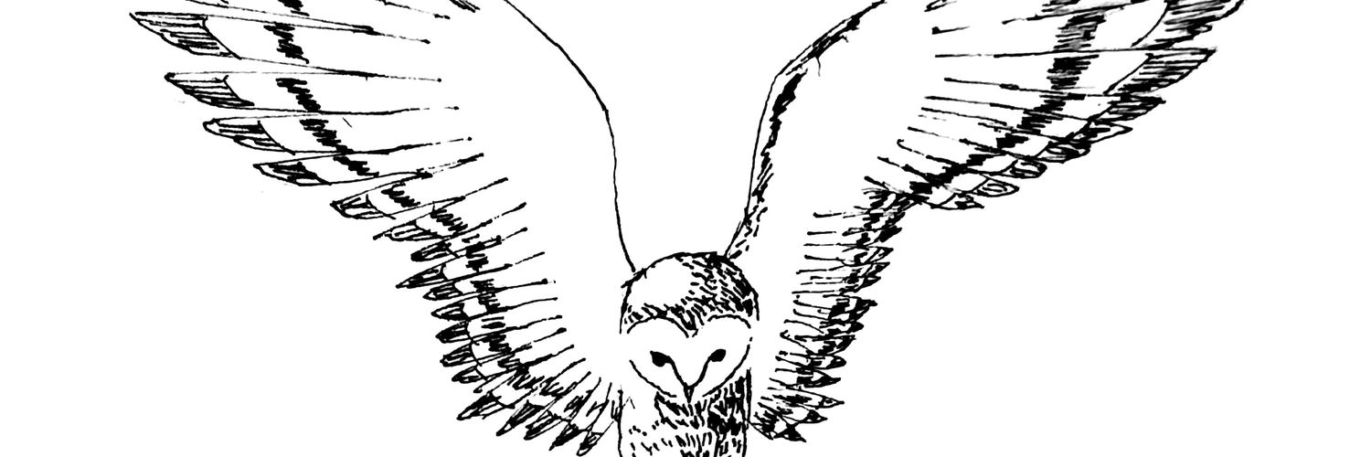 revianw's profile banner image